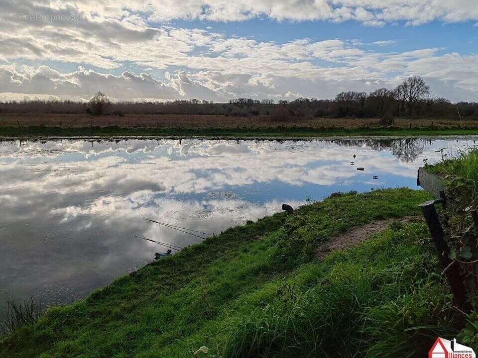 Photo 2 - Terrain à SAIGNEVILLE