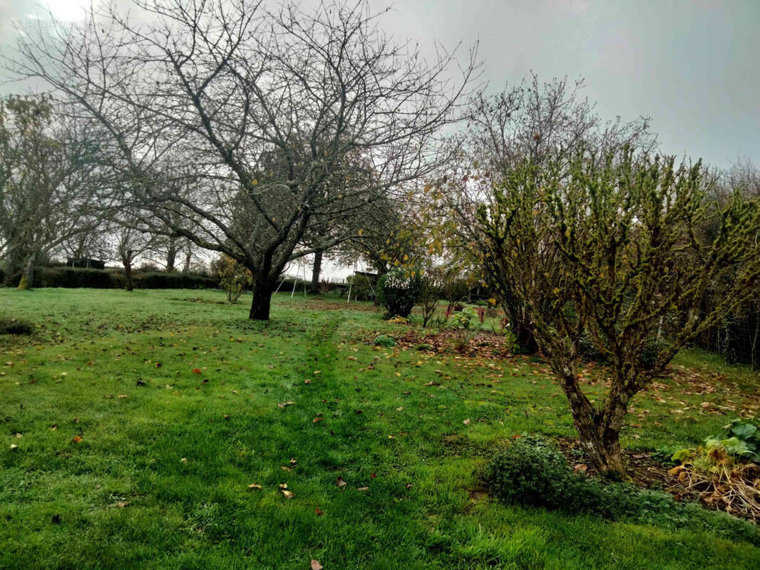 Maison à VANDENESSE