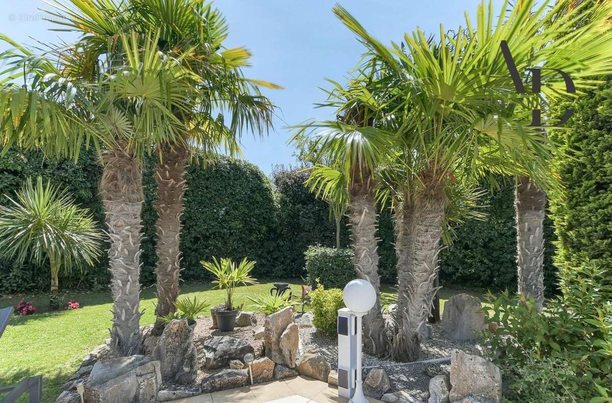 Maison à CASTELGINEST