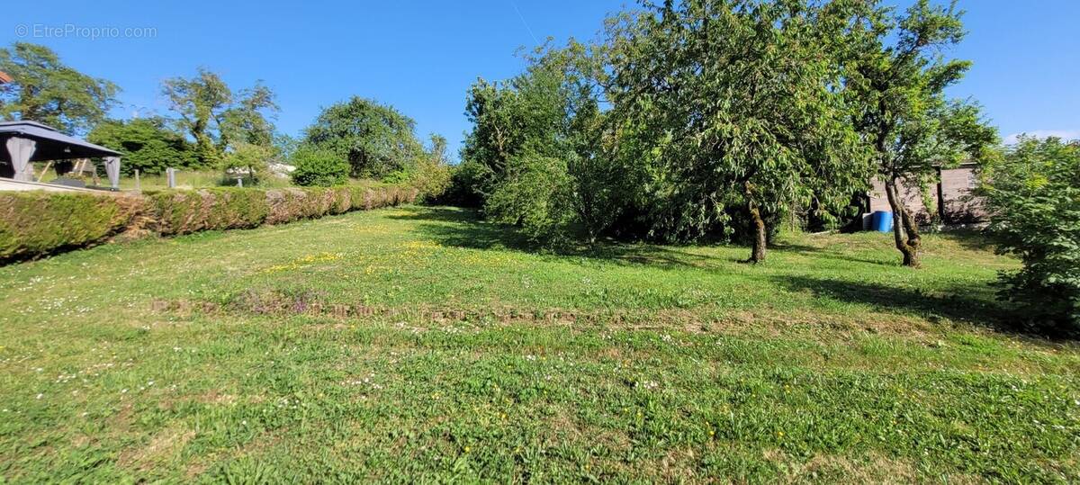 Terrain à CHATEAU-SALINS