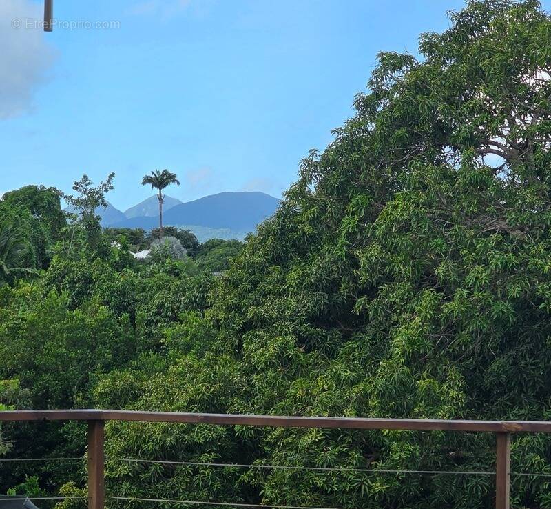 Maison à BAIE-MAHAULT