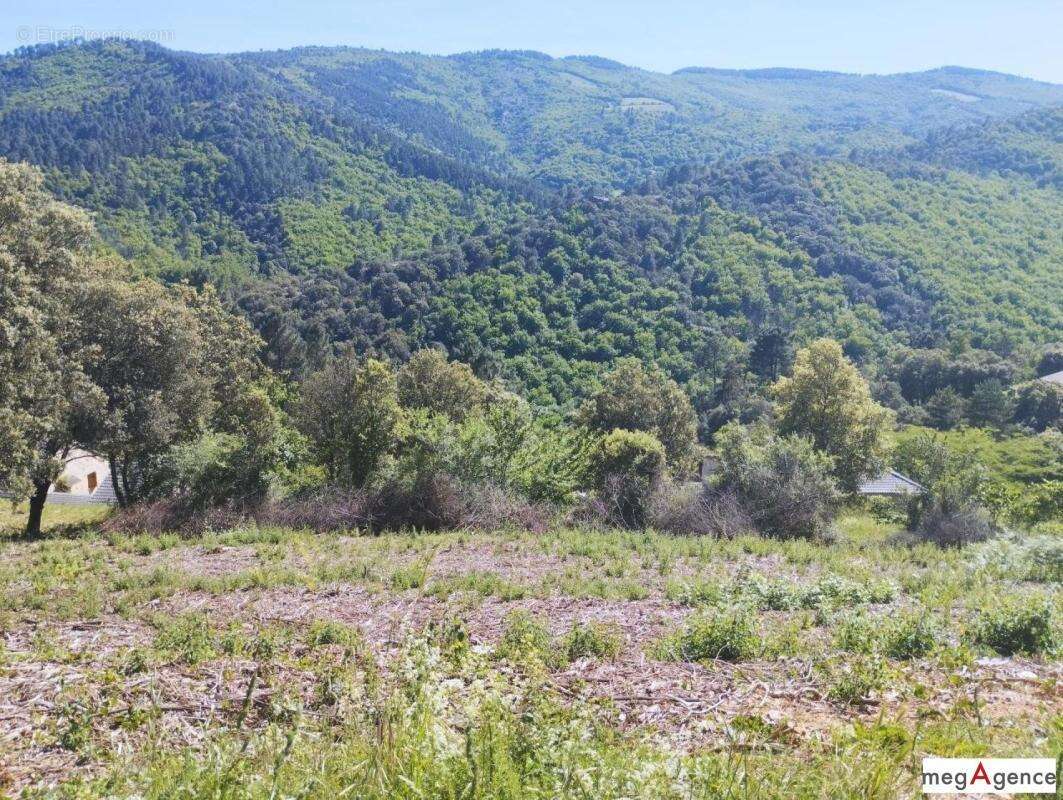 Terrain à SAINTE-CROIX-VALLEE-FRANCAISE