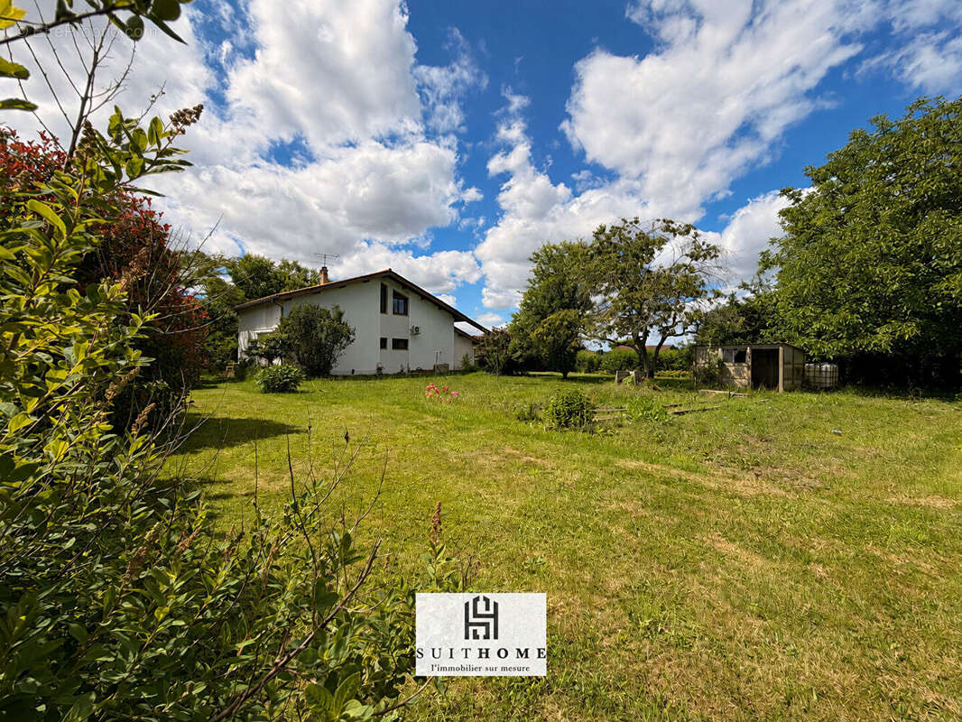 Maison avec grand terrain plat de 2000 m2 - photo 3