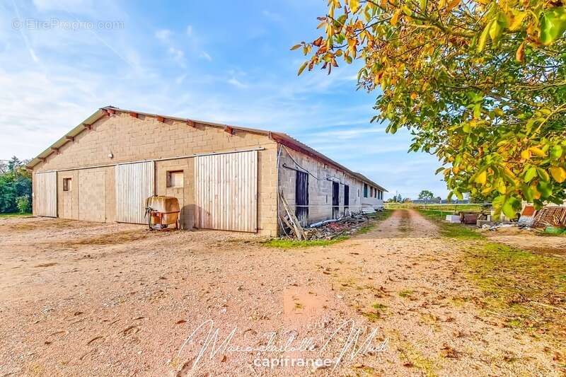 Maison à SAINT-BENIGNE