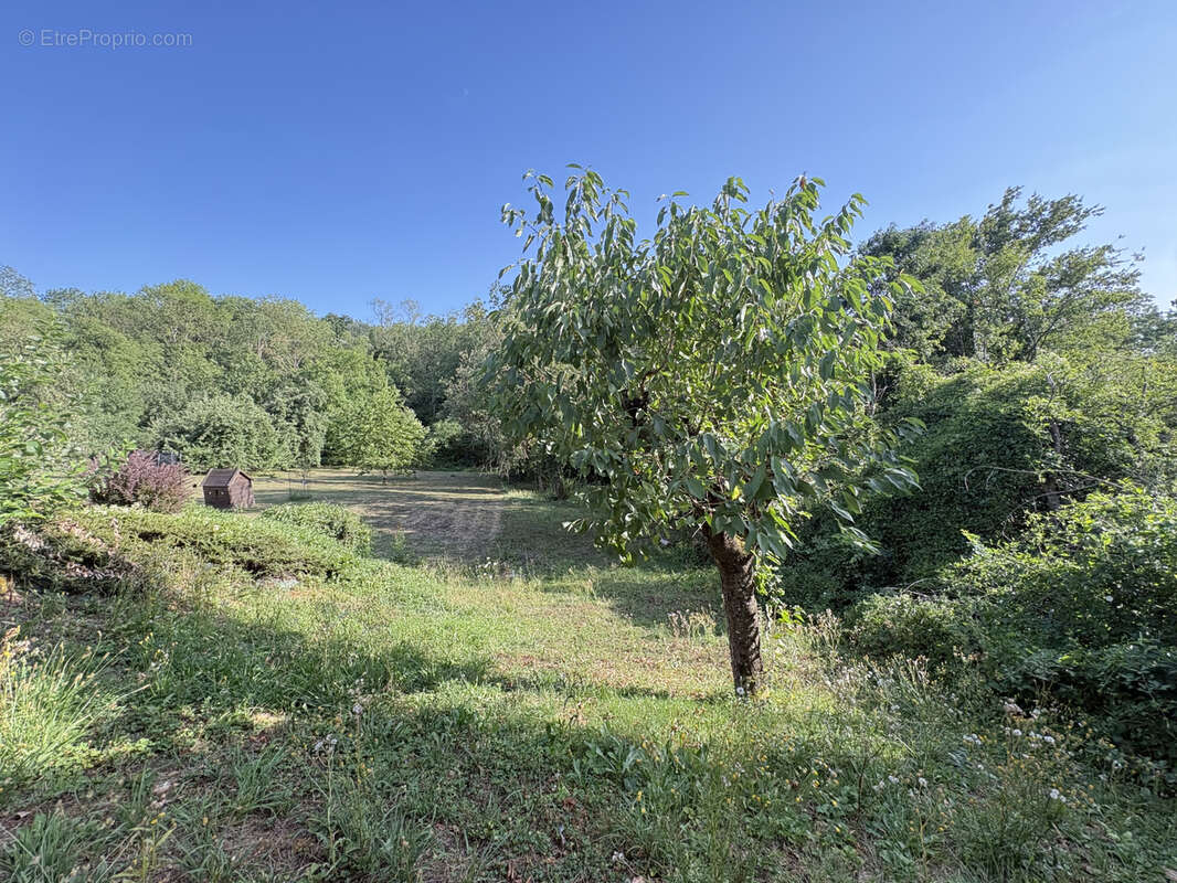 Maison 171 m² à Dommartin-Les-Toul  - photo 11