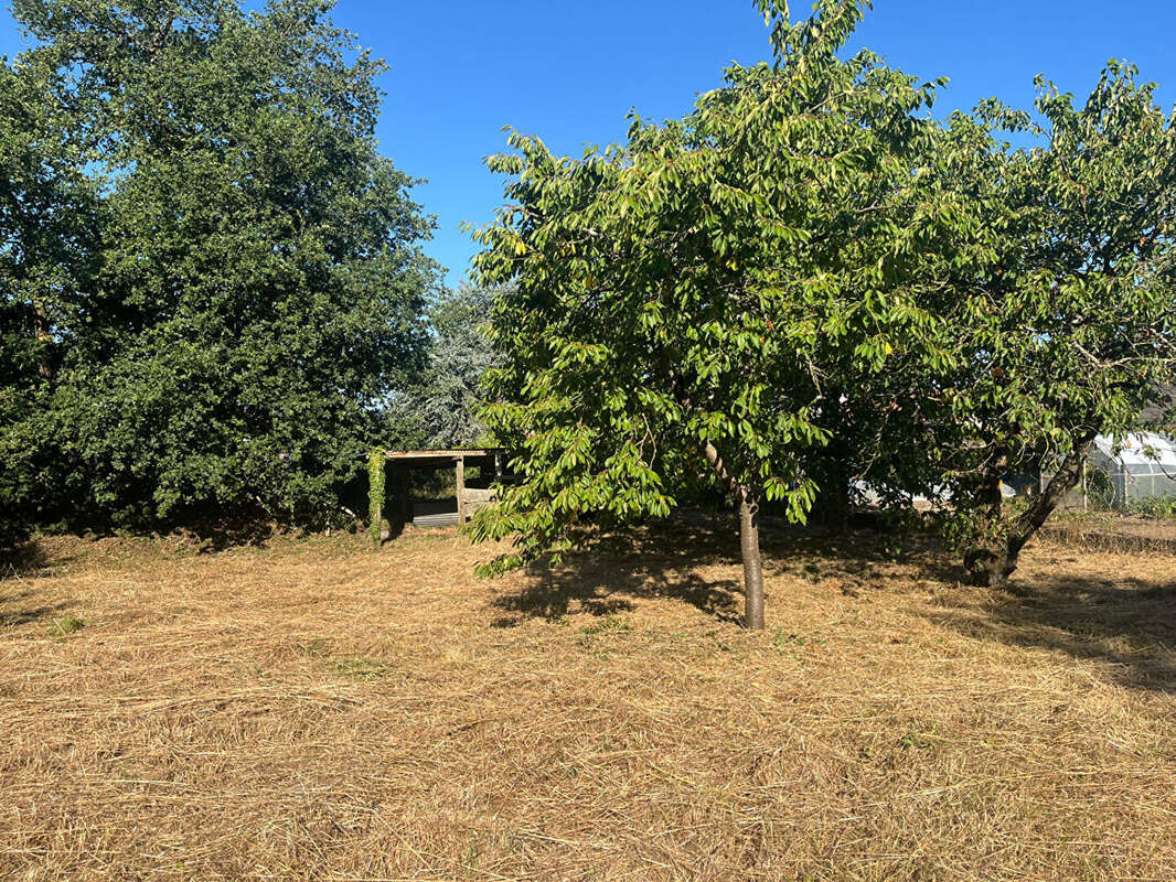 Terrain à SAINT-GERMAIN-SUR-MOINE