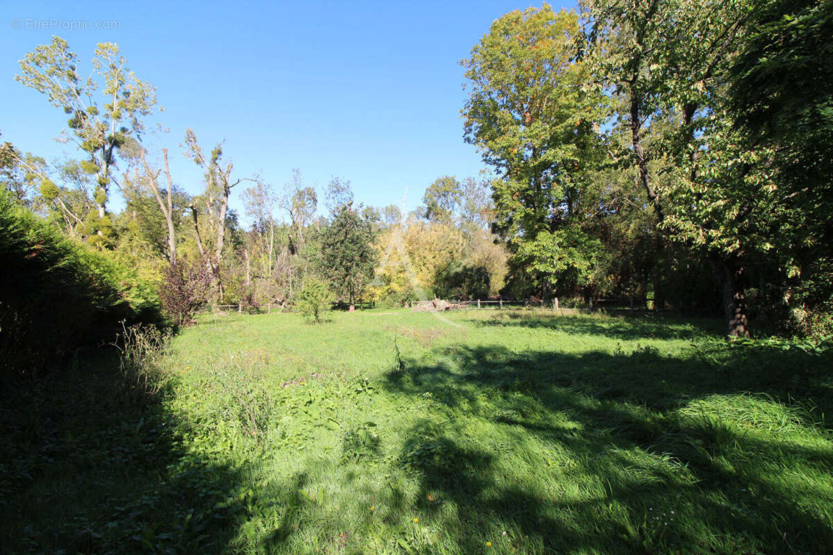 Maison à HUISSEAU-SUR-COSSON