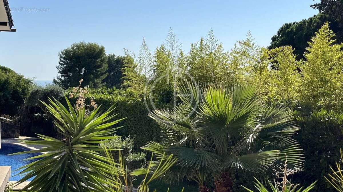Appartement à LE CANNET
