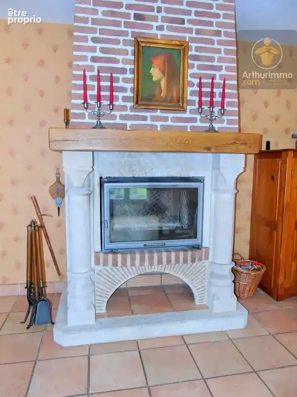 Vente Maison Menestreau-en-villette(45240) 431 000ï¿œ - photo 9