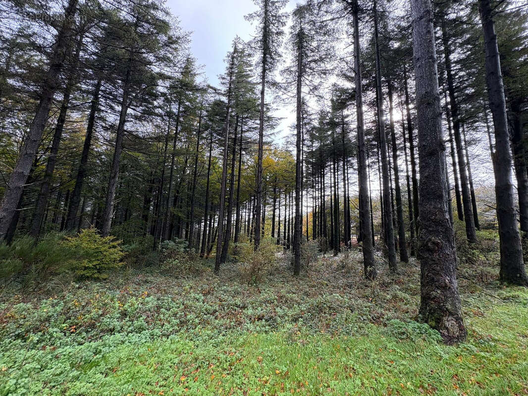 Maison à CASSAGNOLES