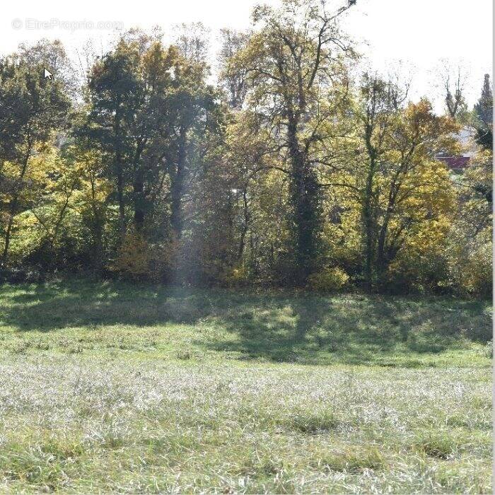 Terrain à PLAISANCE-DU-TOUCH