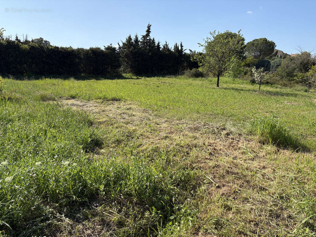 Terrain à FOUZILHON