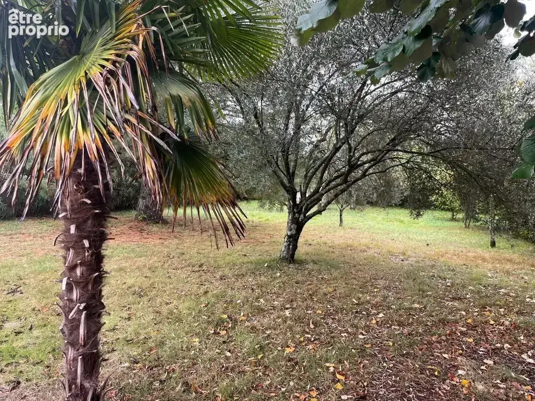 Photo Terrain à Balma au prix de 235 400€