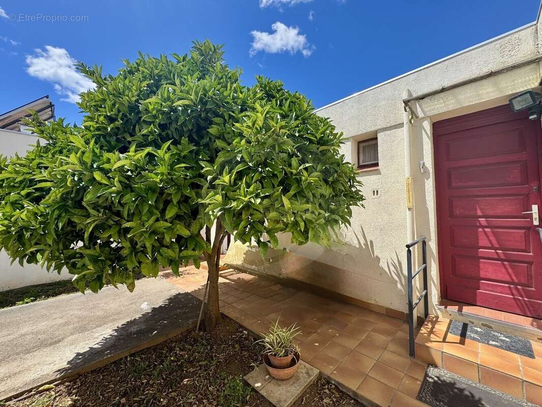 Maison à FRONTIGNAN