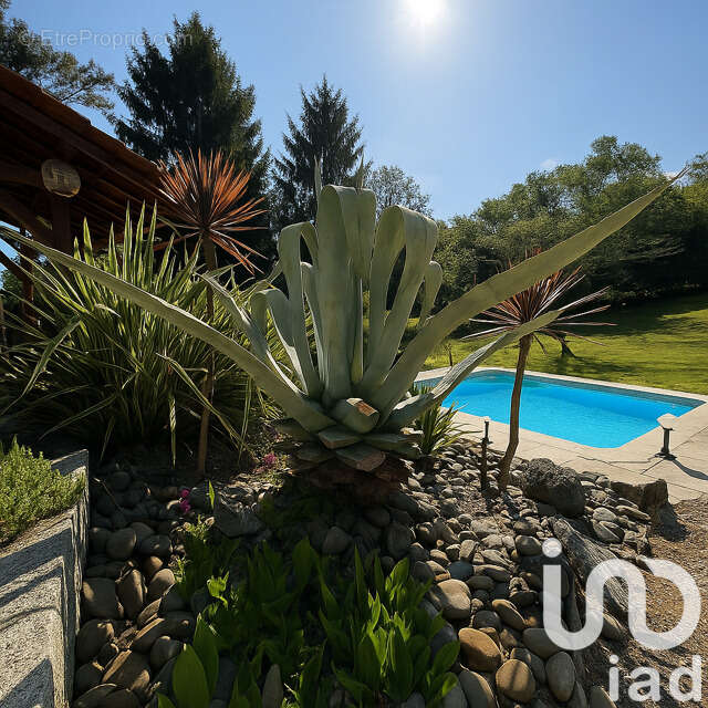 Photo 4 - Maison à HAGETMAU