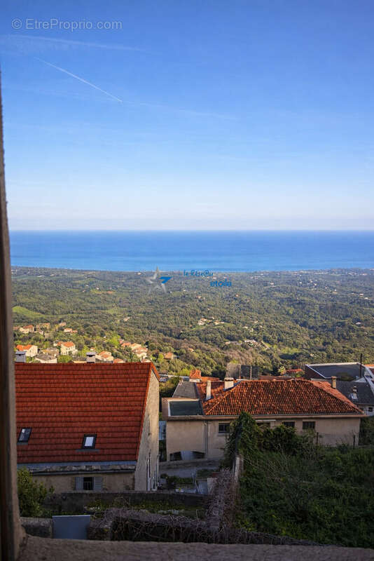 Maison à CERVIONE