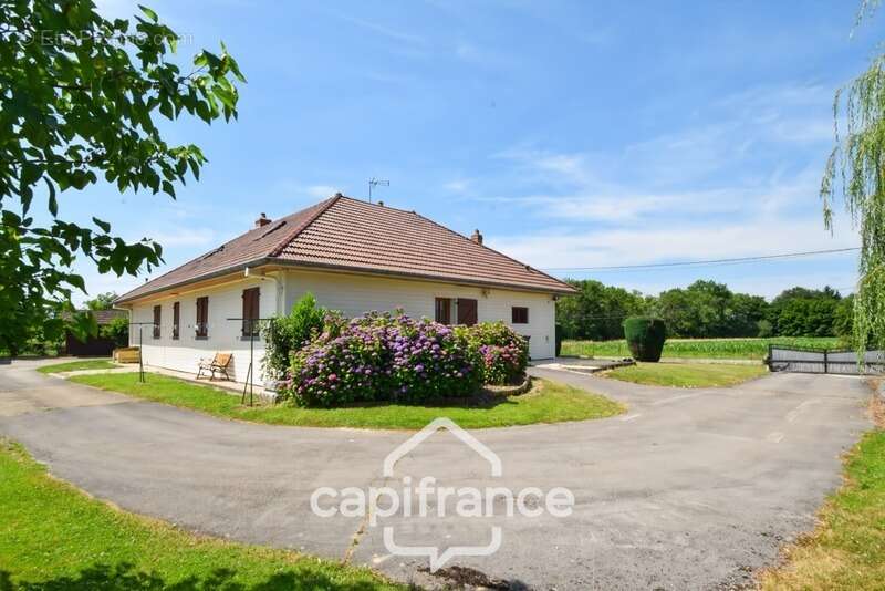 Maison à PIERRE-DE-BRESSE