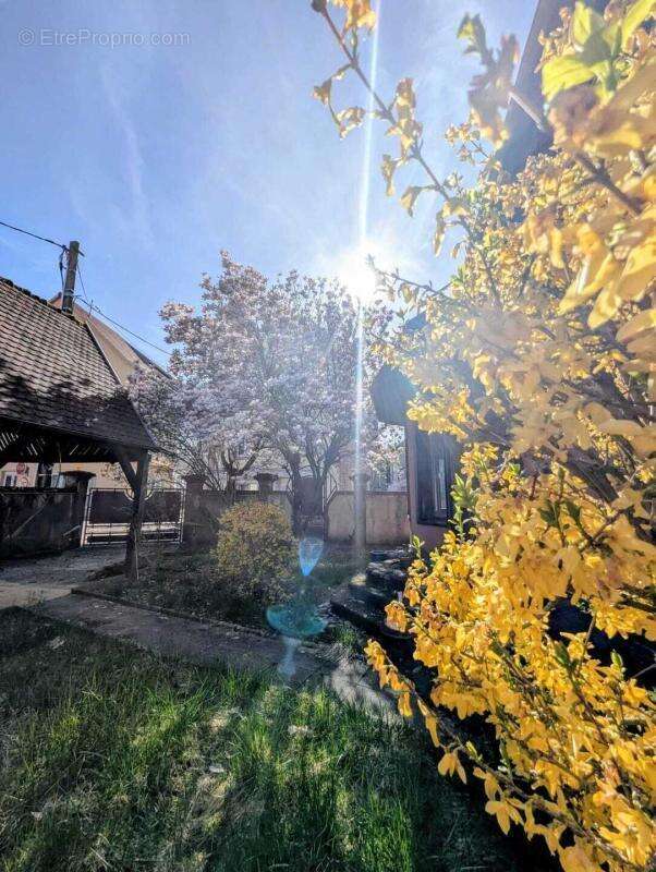 225 000 € - Immeuble avec revenu locatif existant - photo 2