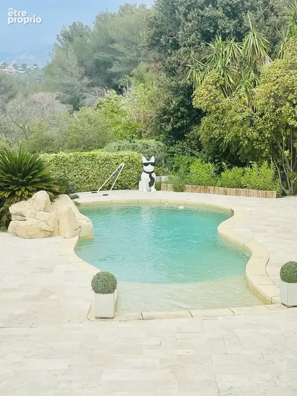 Exclusivite haut fabron demeure de 270 m2 + 6450 m2 de terrain , piscine - photo 21