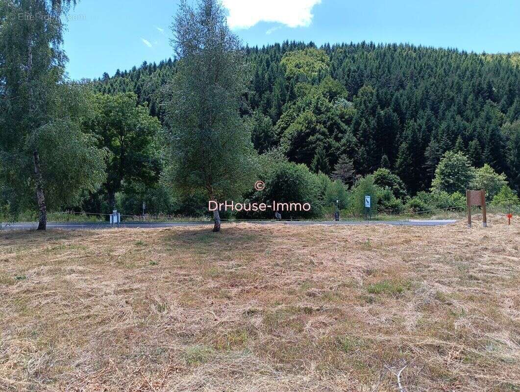 Terrain à SAINT-CIRGUES-EN-MONTAGNE