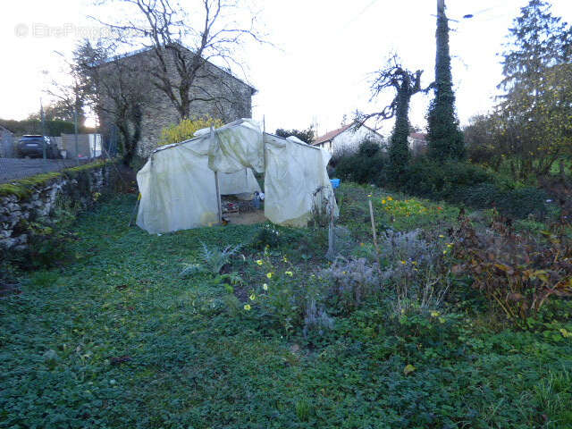 Maison individuelle à conforter   Repaix (54)   Grand terrain en pré, dont partie constructible - photo 15