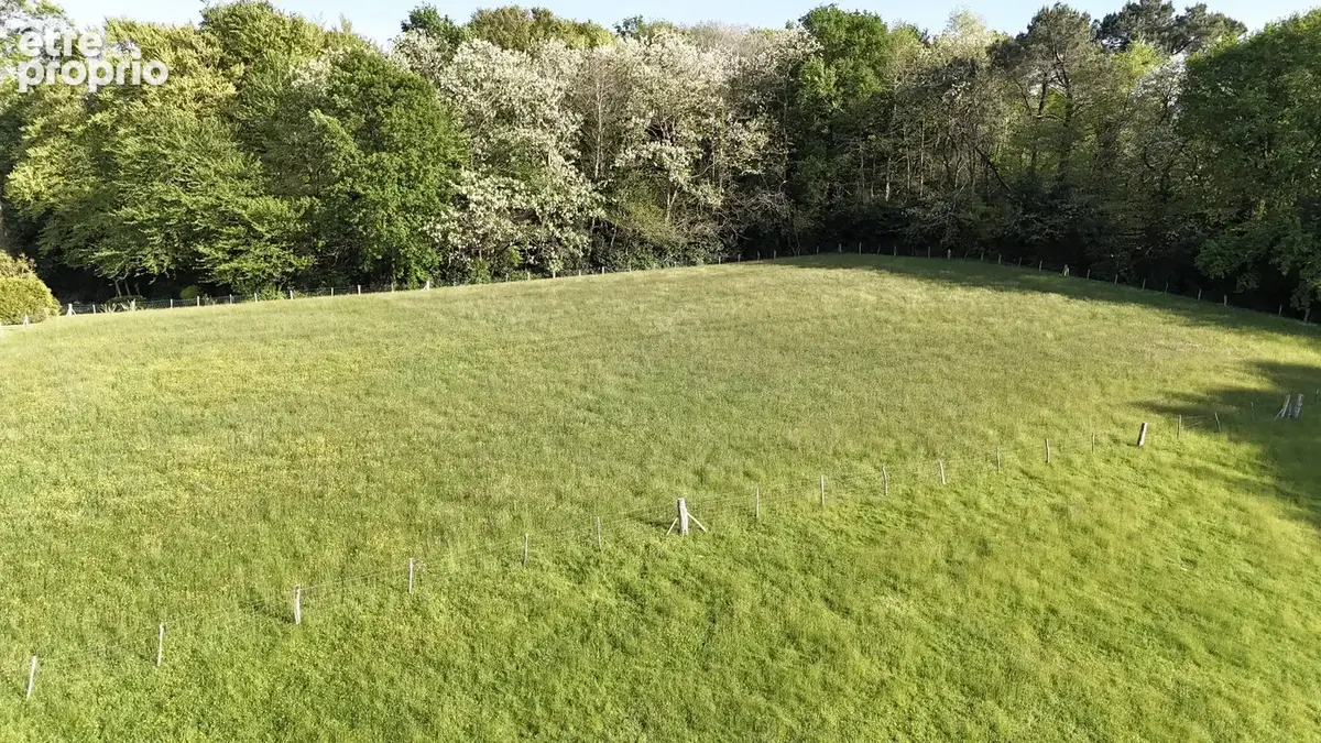 Propriété avec 3 logements, 7 hectares agricoles, piscine et dépendances à Saint-Martin-de-Seignanx  223 m²  À 15 min de Bayon - photo 19
