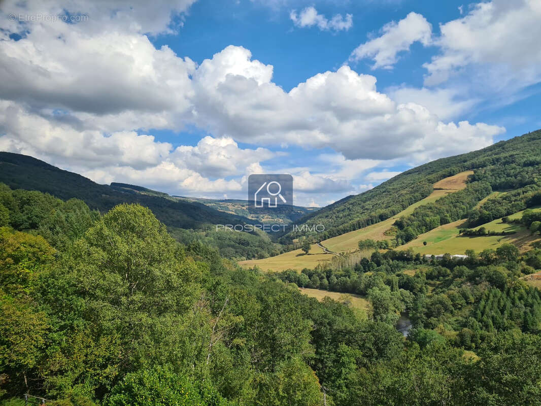 Maison 5 pièces avec terrain - photo 2
