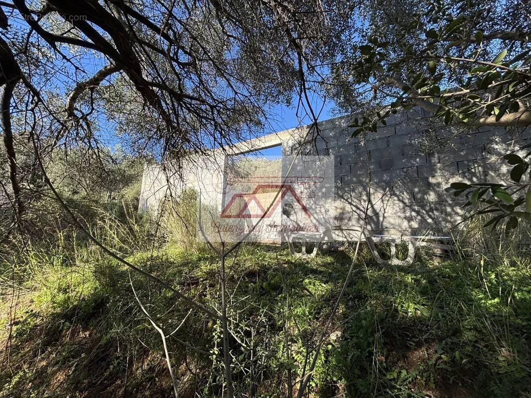 Terrain à CALENZANA