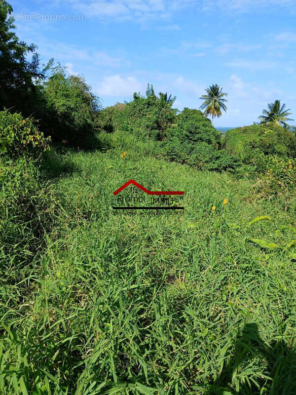 Terrain à LE ROBERT