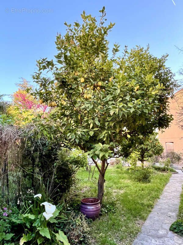 Maison à MARSEILLE-12E