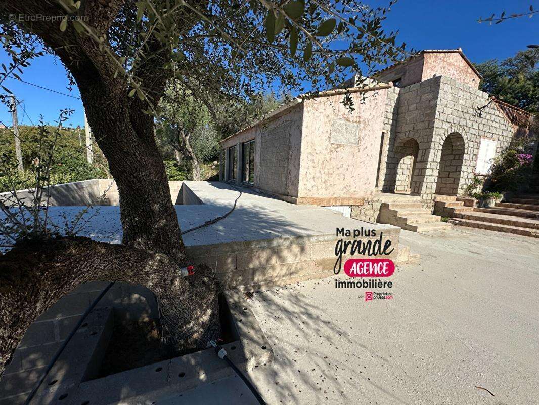 Maison à ZONZA
