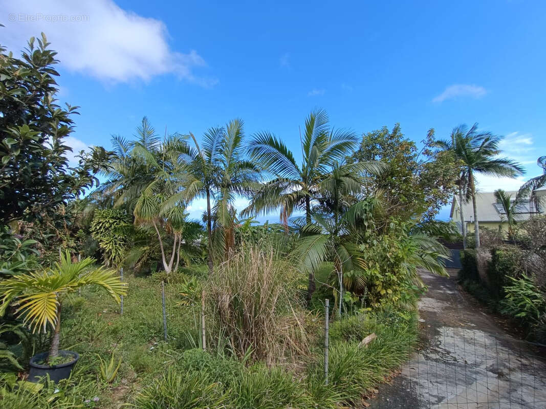 Terrain à PETITE-ILE