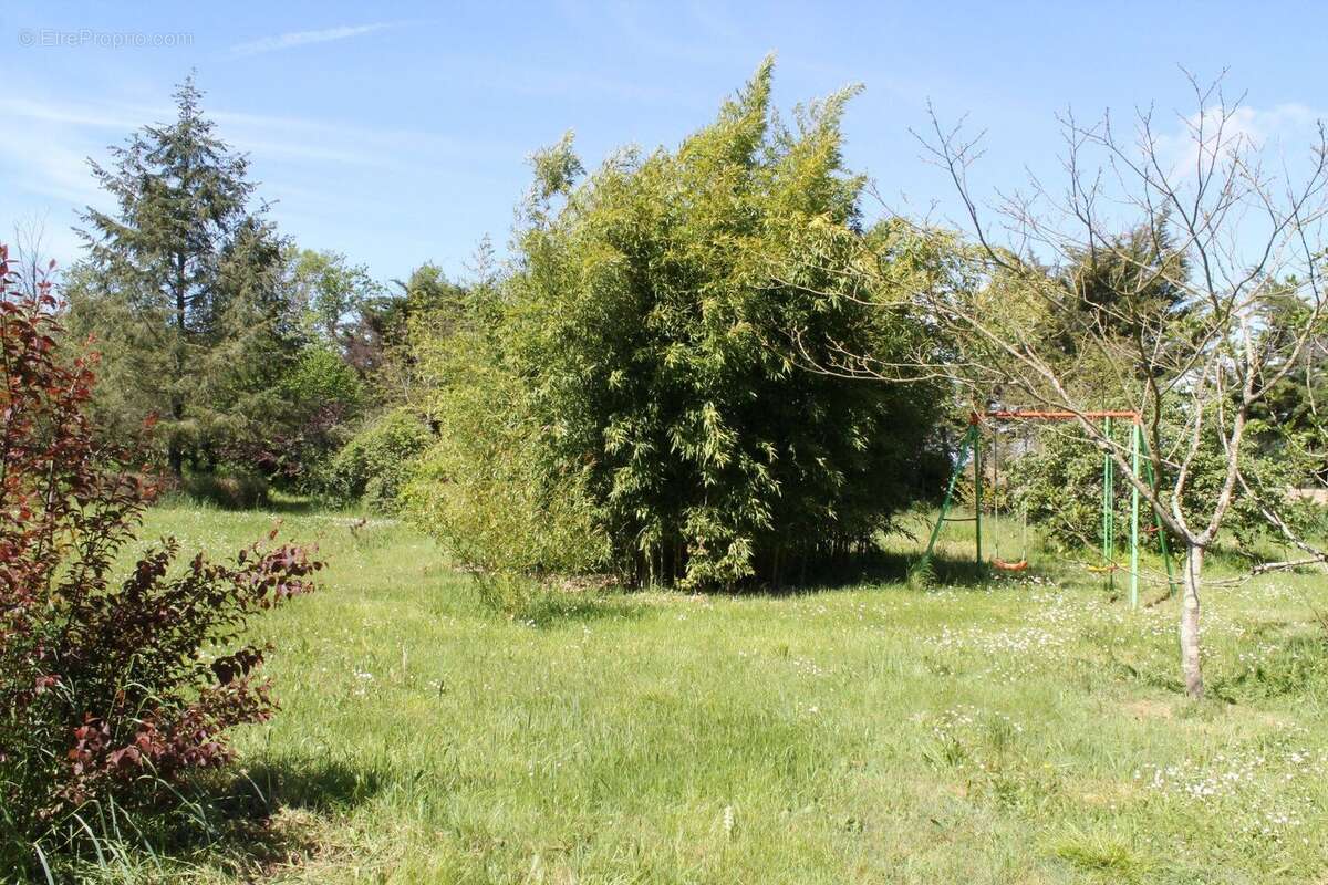 Maison à NEONS-SUR-CREUSE
