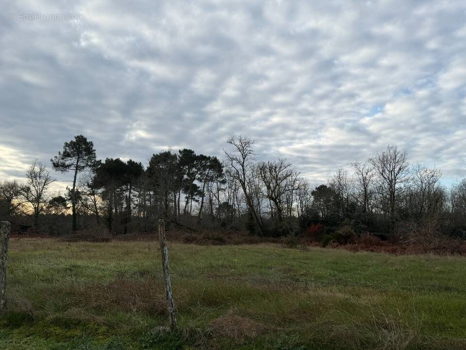 Terrain à MIOS