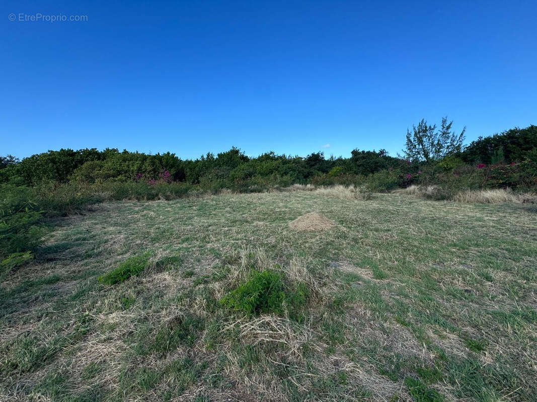 Terrain à SAINT-MARTIN