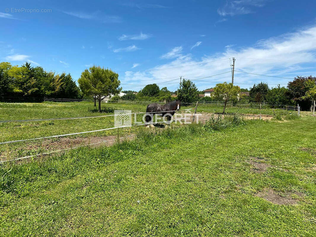 Maison à CAGNAC-LES-MINES