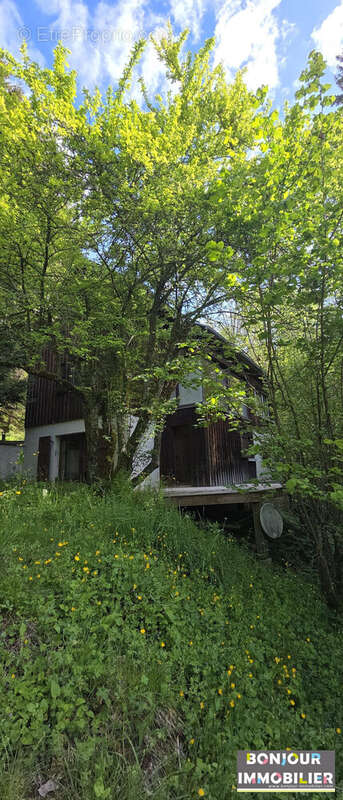 Maison à SAINT-PIERRE-DE-CHARTREUSE