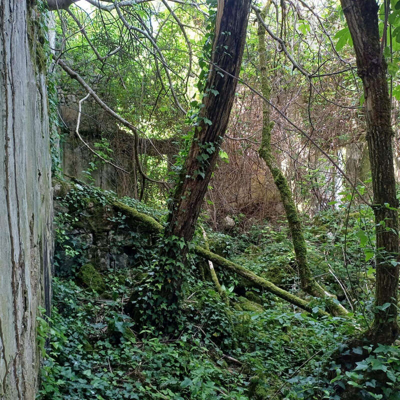 Ancienne Maison de Maître terre et bois 6 Ha - photo 14