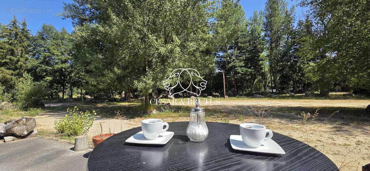 Maison 1023 m² à Le Monastier-Sur-Gazeille  - photo 6