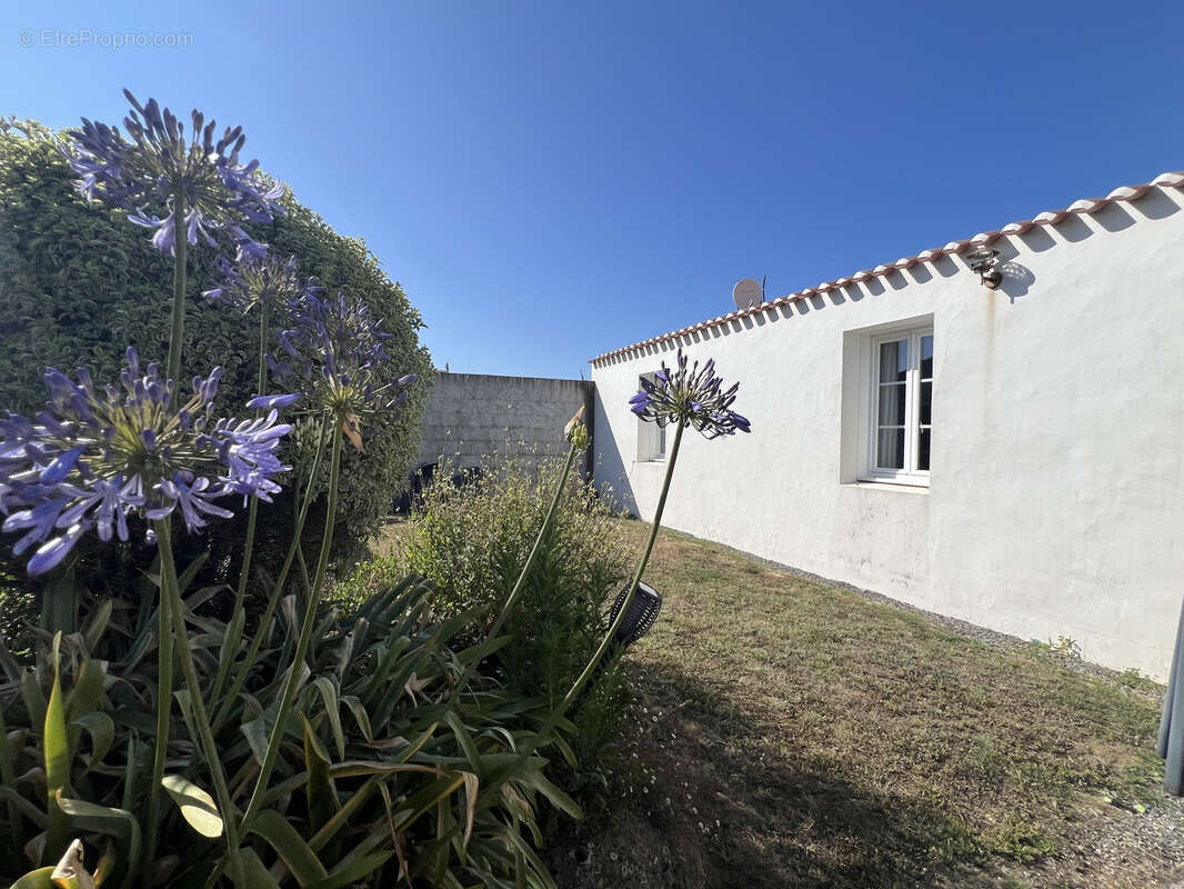 Maison à L'ILE-D'YEU