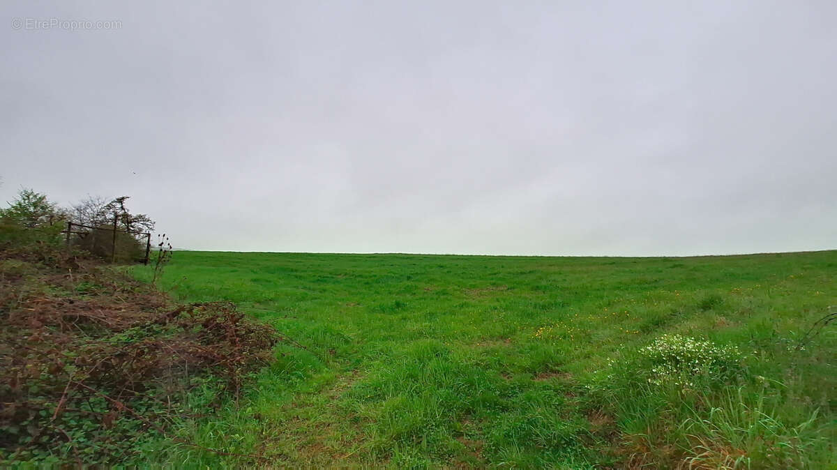 Terrain à COURCELLES