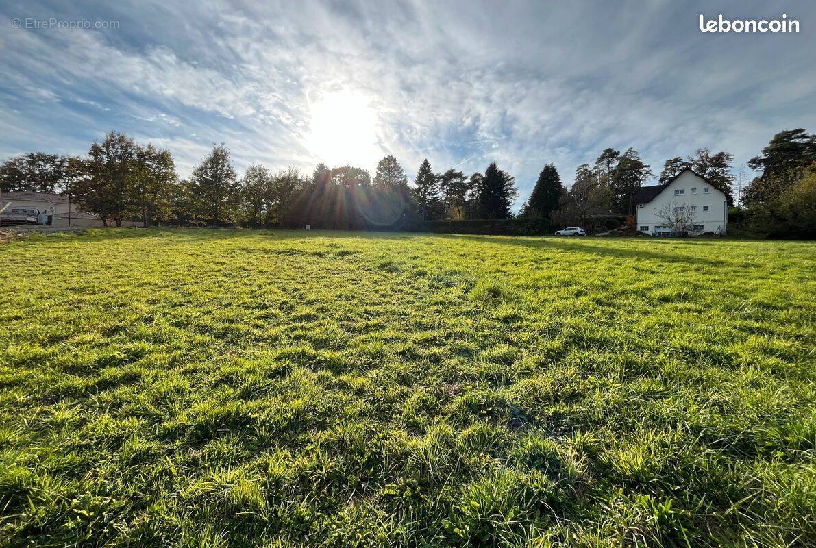 Terrain à RILHAC-RANCON