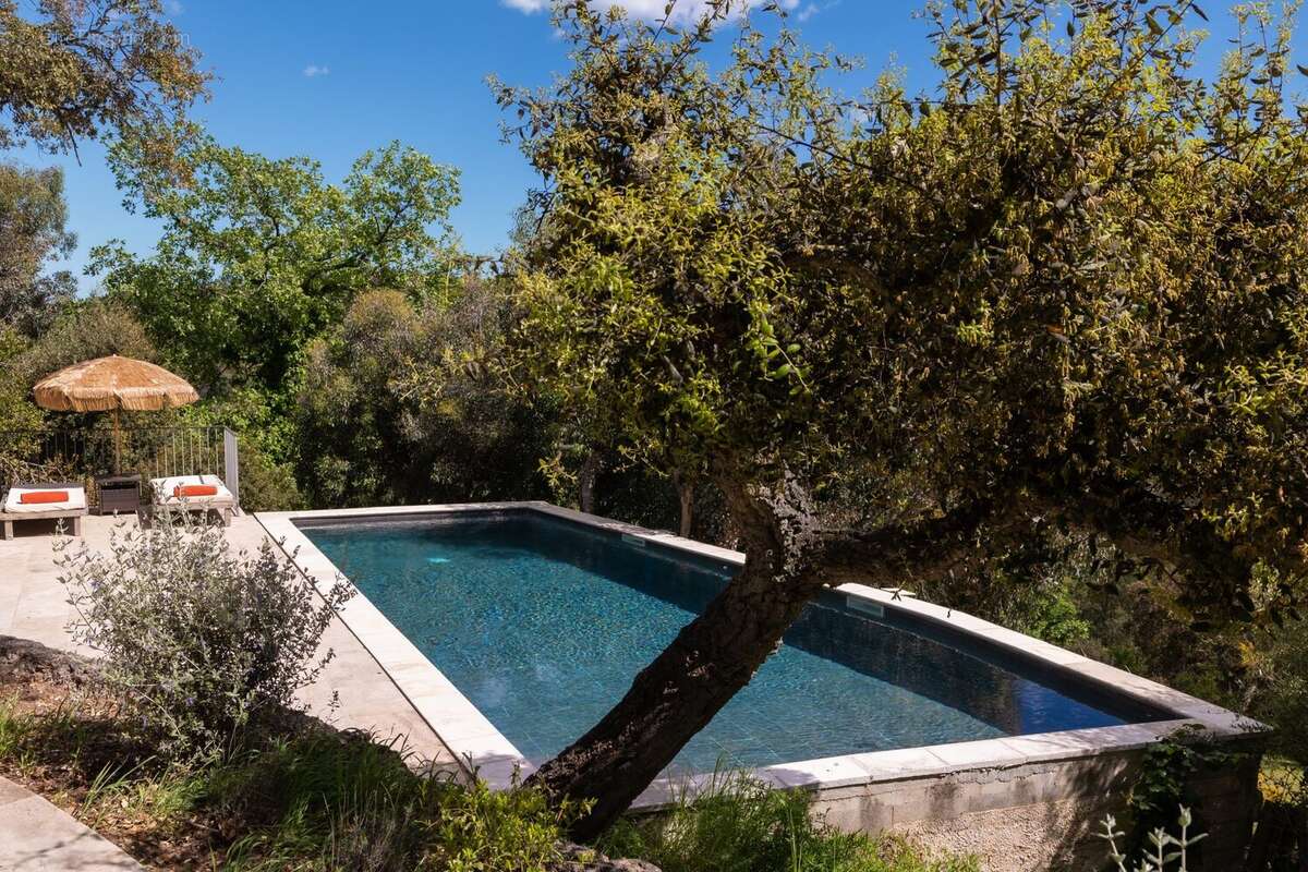 Maison 524 m² à Mandelieu-La-Napoule  - photo 2