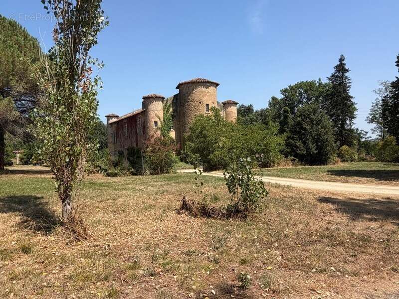 MARCIAC(32): ancienne SEIGNEURIE avec BEAU CHATEAU XIV sur 3,5ha, cachée, au bout du chemin, sans voisin, en campagne, 500m2 hab - photo 14