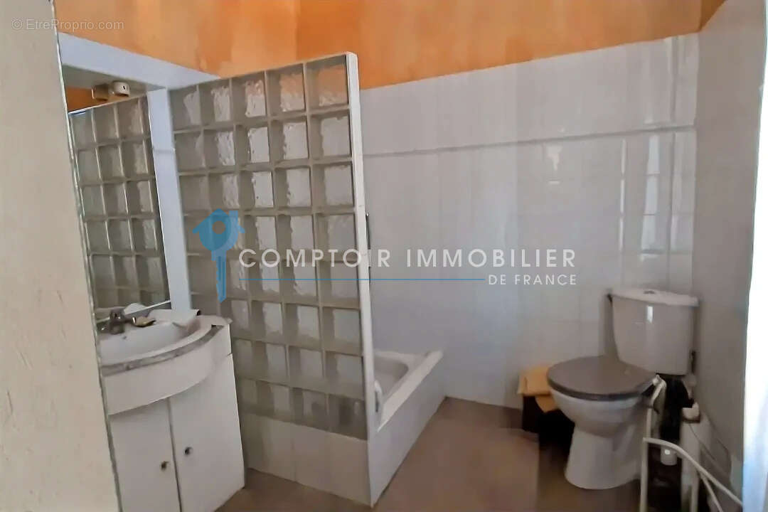 Immeuble de rapport avec Maison vigneronne et  locaux proche centre ville - photo 13