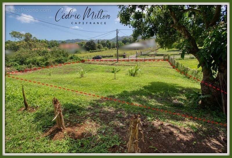 Terrain à LE LAMENTIN