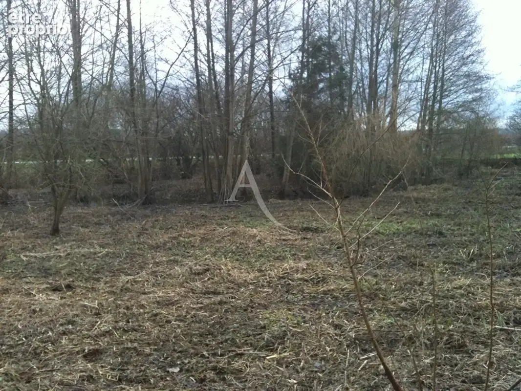 Terrain de loisirs à 5min de Gournay-en-Bray - photo 3