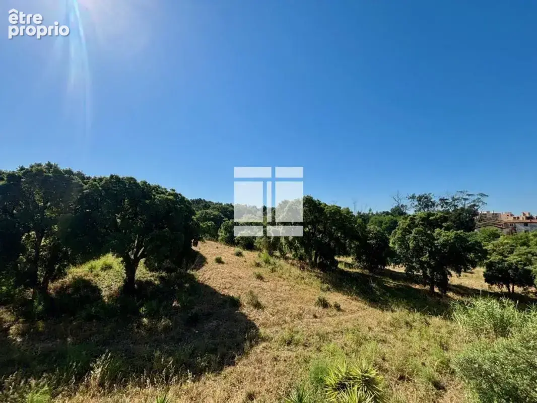 Dernier étage – Lumineux 3 pièces au calme, entre ville et nature, avec une belle terrasse et une vue dégagée sur le maquis - photo 3