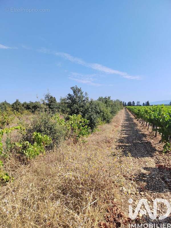 Photo 5 - Terrain à SAINTE-CECILE-LES-VIGNES