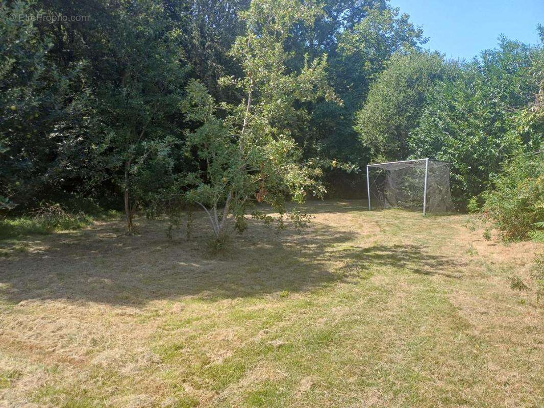Propriété - photo 10